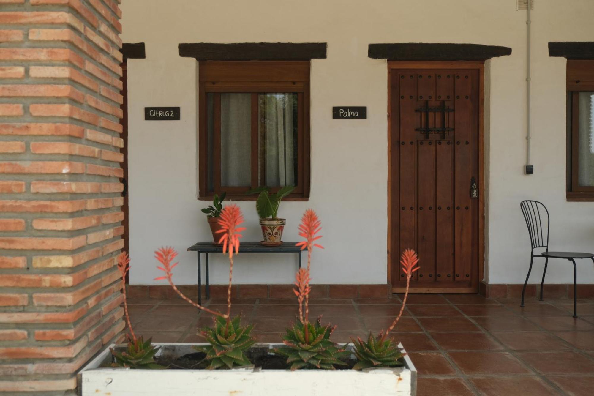 The Wild Olive Andalucia Palma Guestroom Касарес Екстер'єр фото